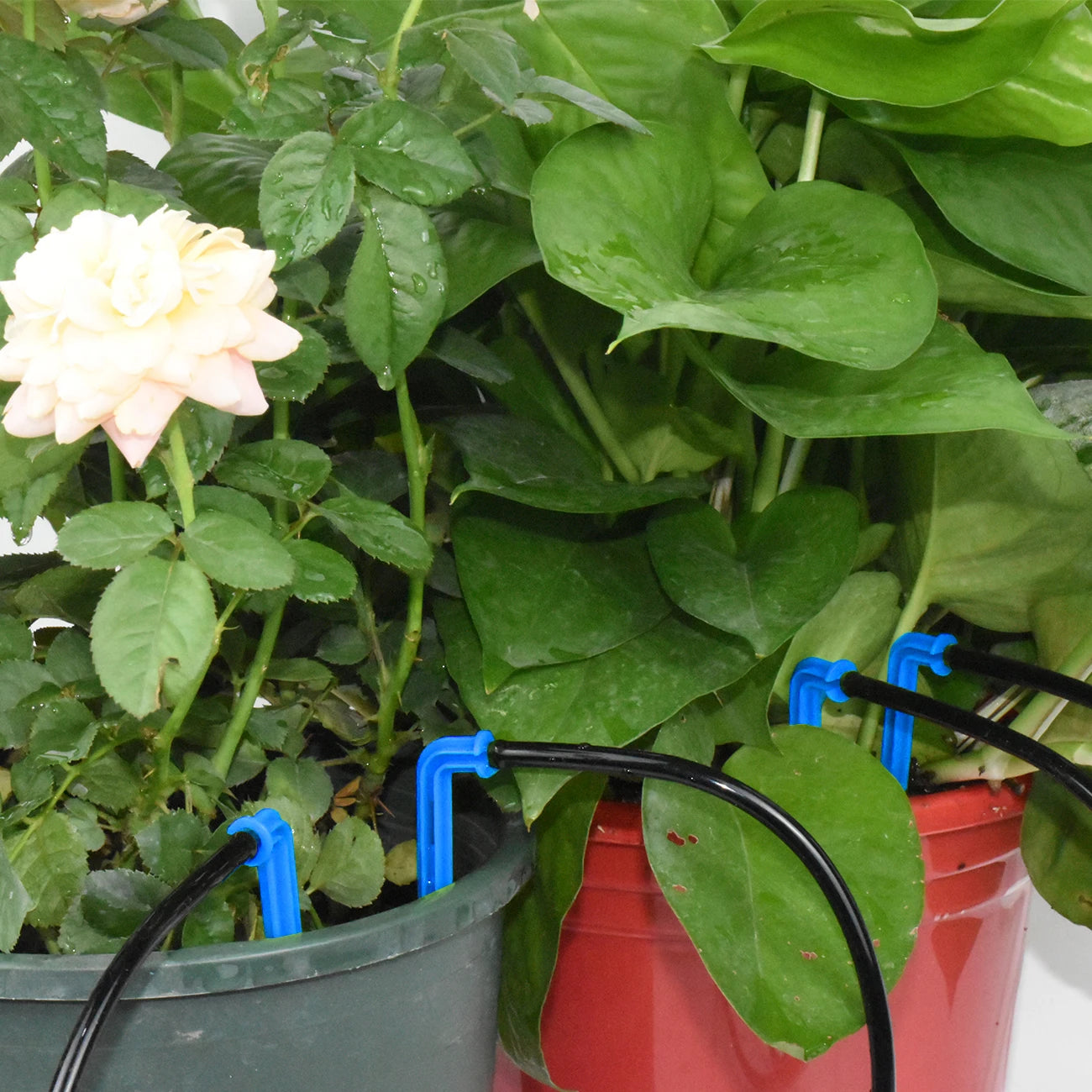 Kit de riego pot goteo. 40 y 50M